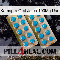 Kamagra Oral Jelly 100Mg Use new08